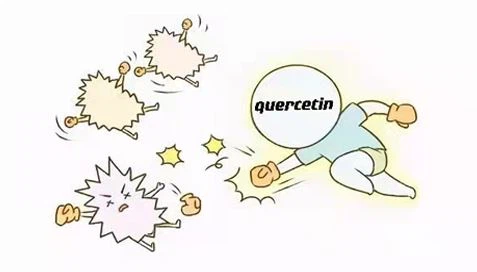 Il-Quercetin Isaħħaħ is-Sistema immuni?