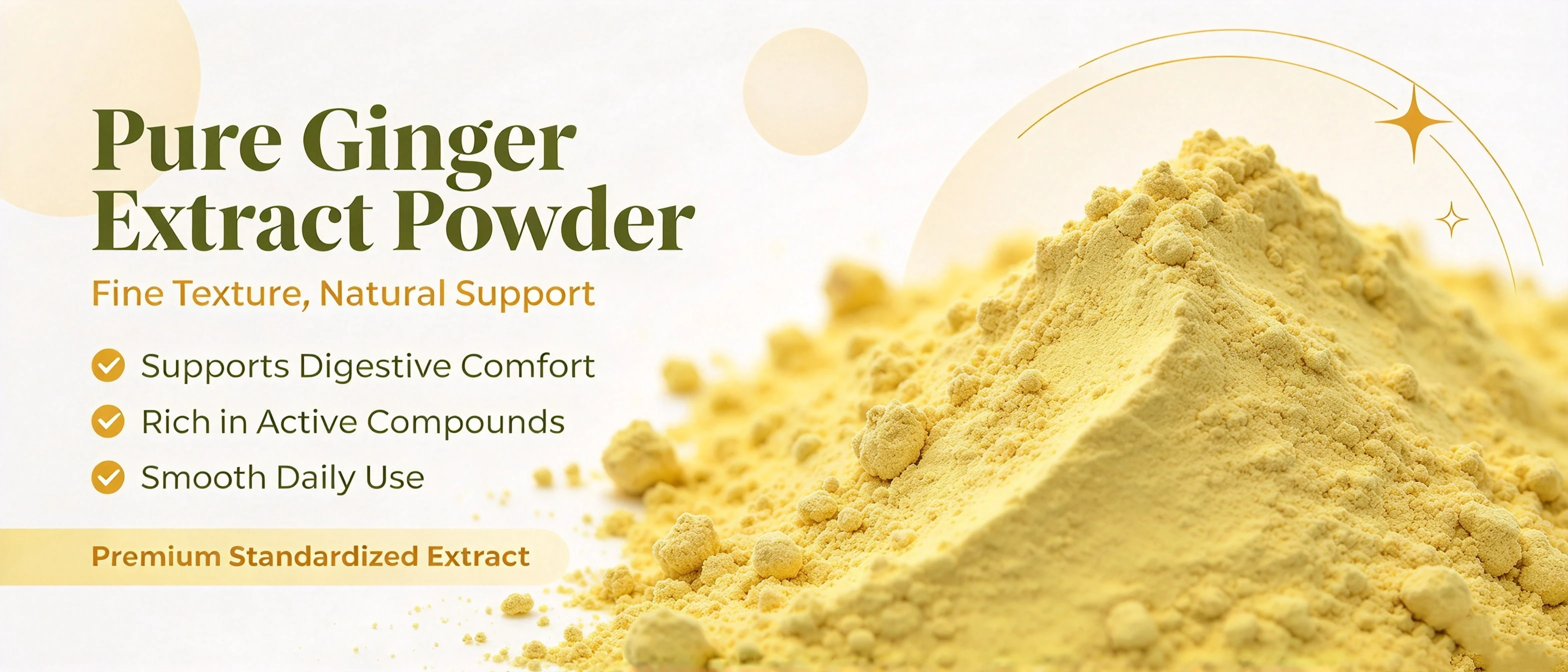 Pure Ginger Extract Gingerol Powder - Botanical Cube Inc