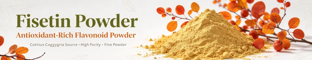 Fisetin Powder Fisetin Powder